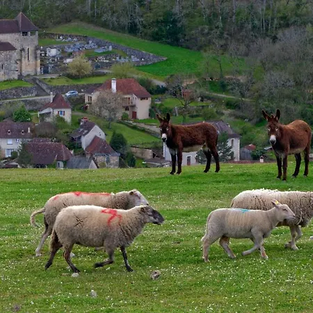 La Source Du Touron Fons (Lot)