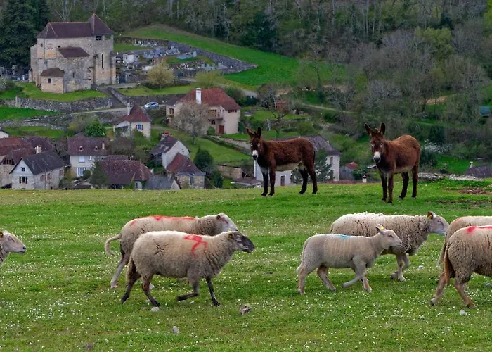 La Source Du Touron Fons (Lot)