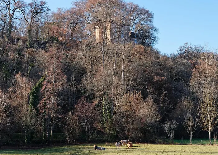 Maison d'hôtes La Source Du Touron 3*